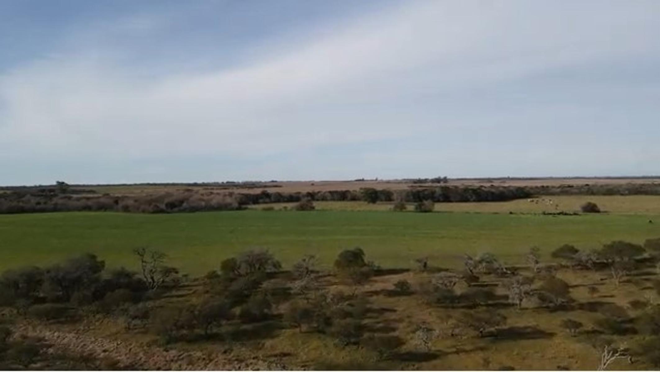 Nogoyá · Nogoyá — foto 3