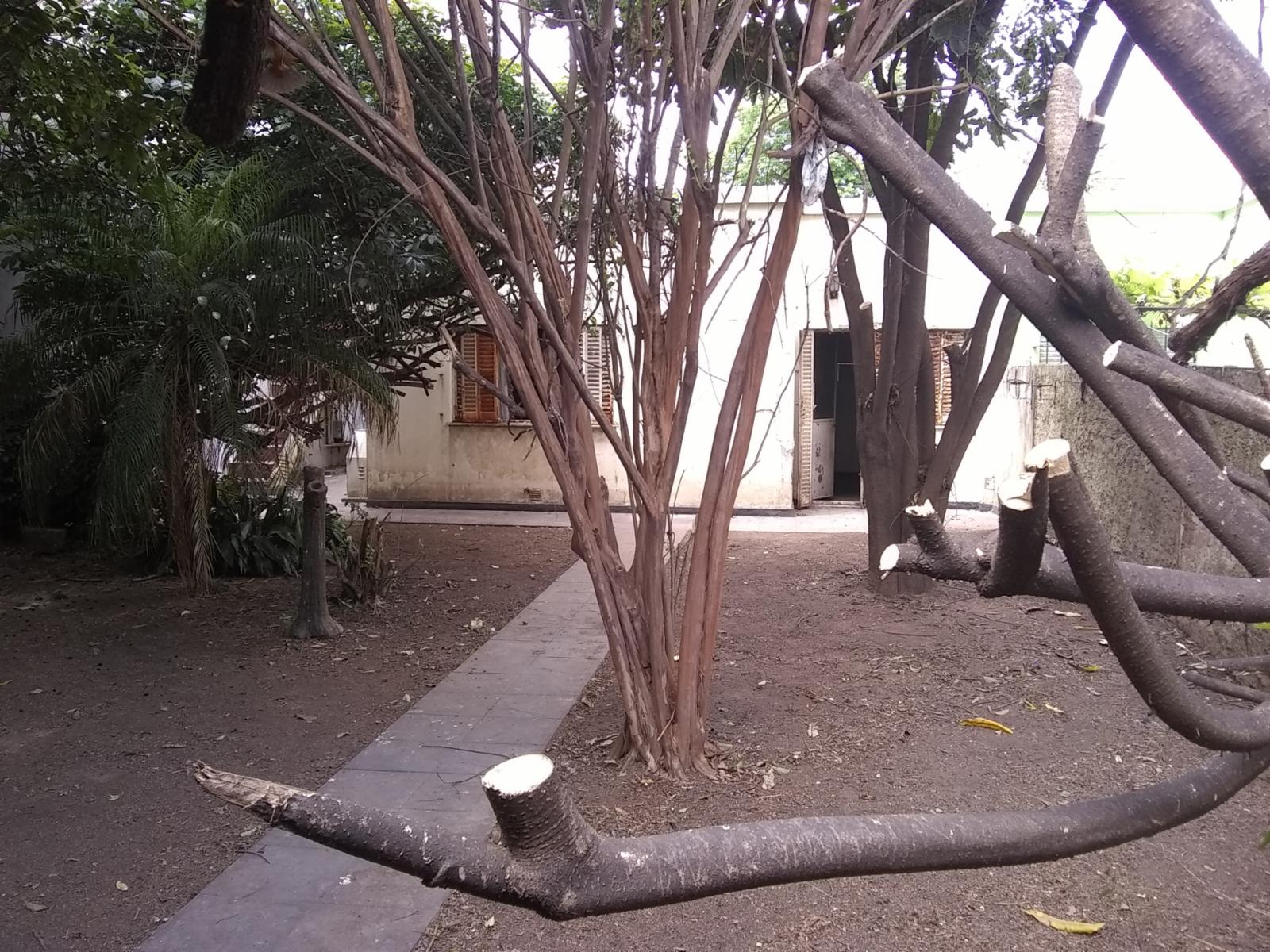 PUEYRREDON 2535 · San Martín — foto 36