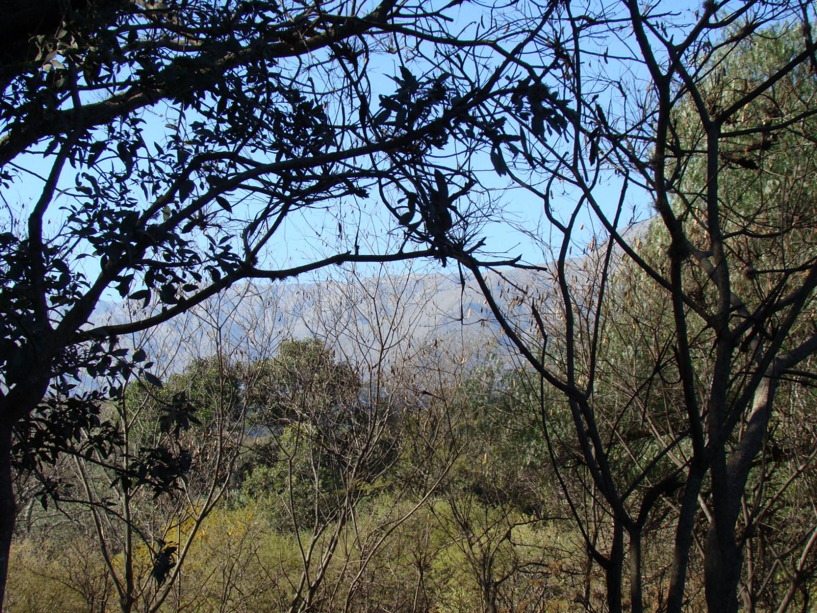 kRUTLI Loma Bola · San Javier — foto 4
