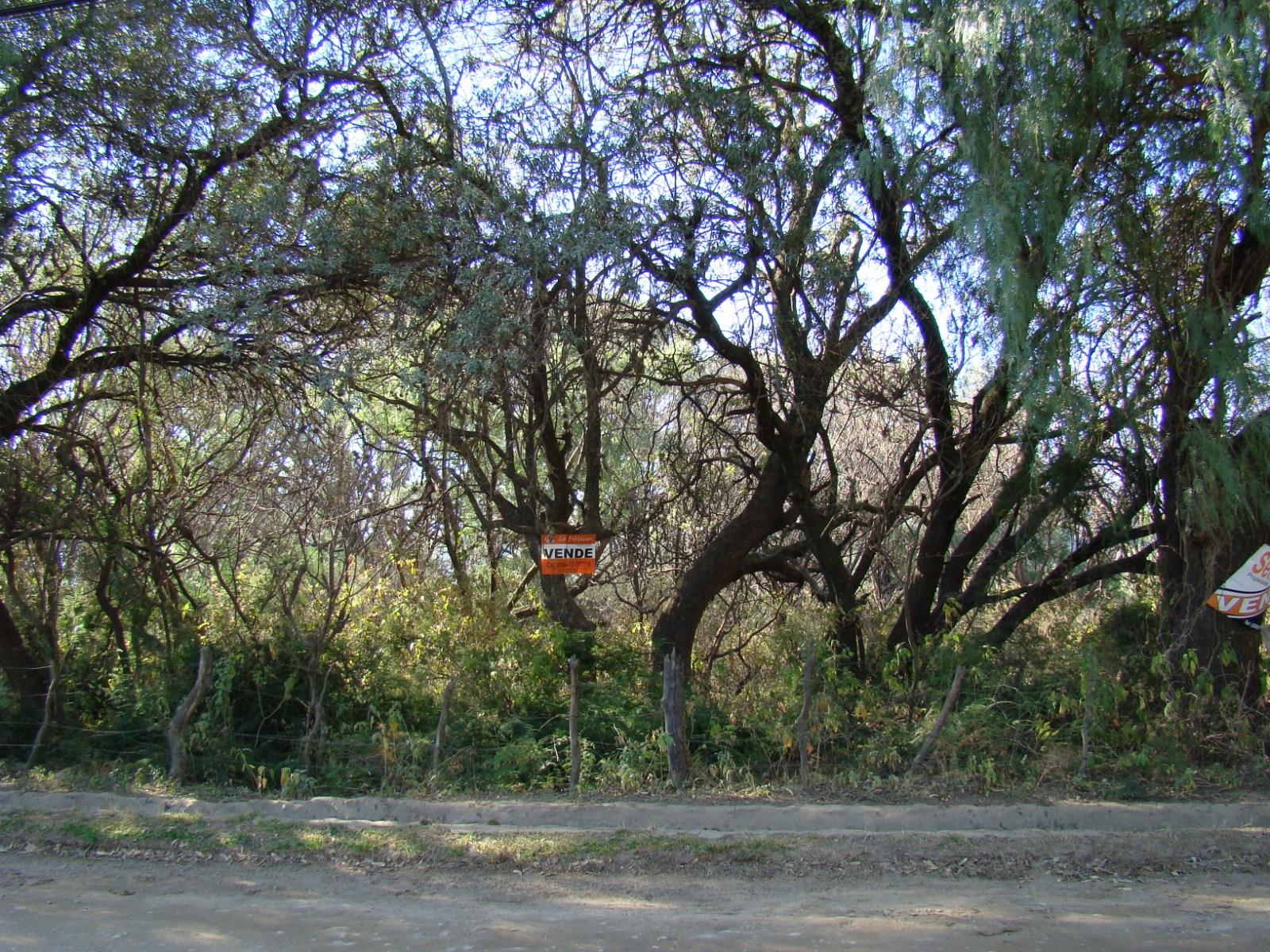 kRUTLI Loma Bola · San Javier — foto 5