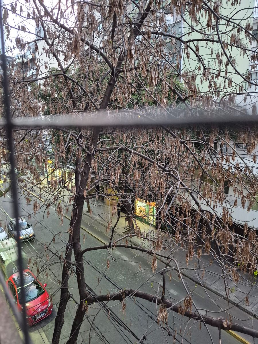 Jorge Luis Borges 2361 · Palermo Soho — foto 5