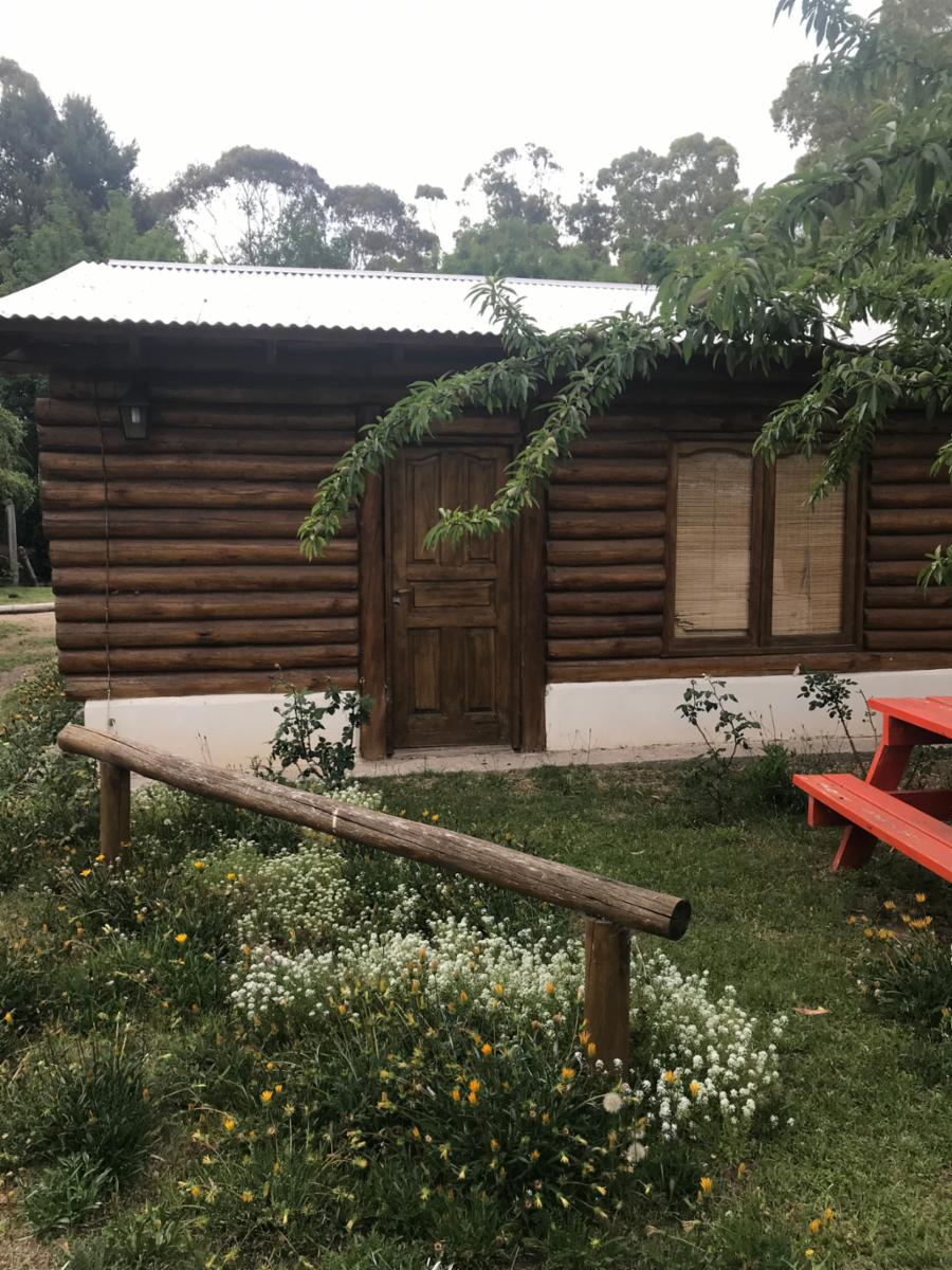CABAÑAS DEL SAUCE - Cabaña Nº12