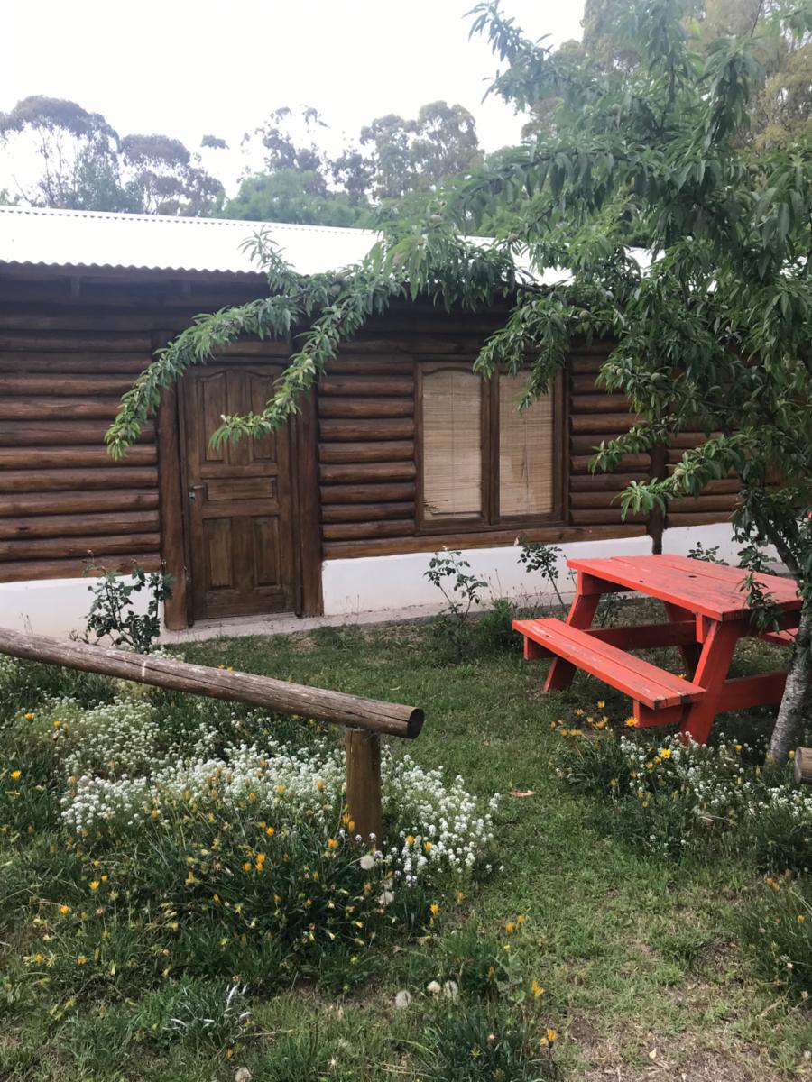 puleston 2775 · Monte Hermoso — foto 3