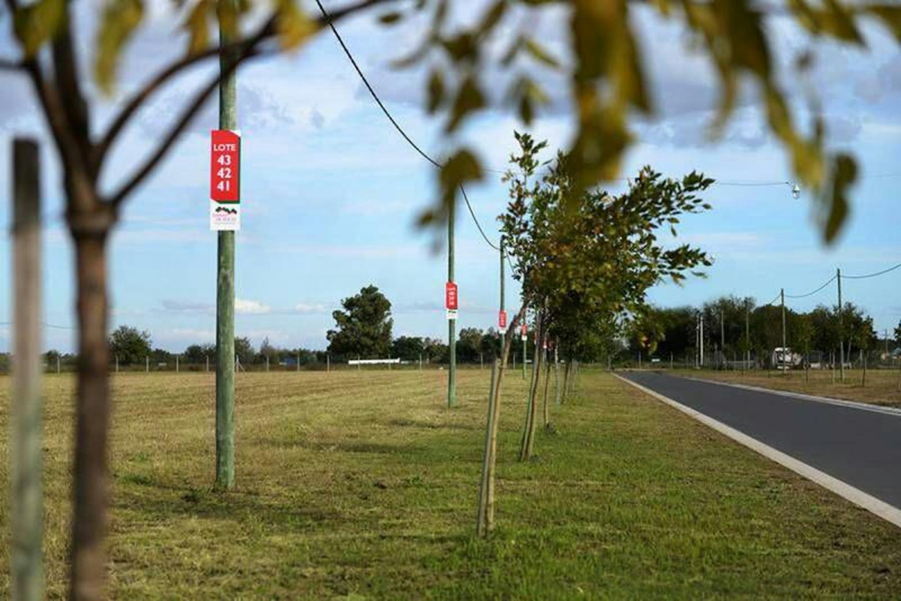 LOTEO LOMAS DE ALICIA EN GRANADERO BAIGORRIA EN MANZANA F · Rosario — foto 9