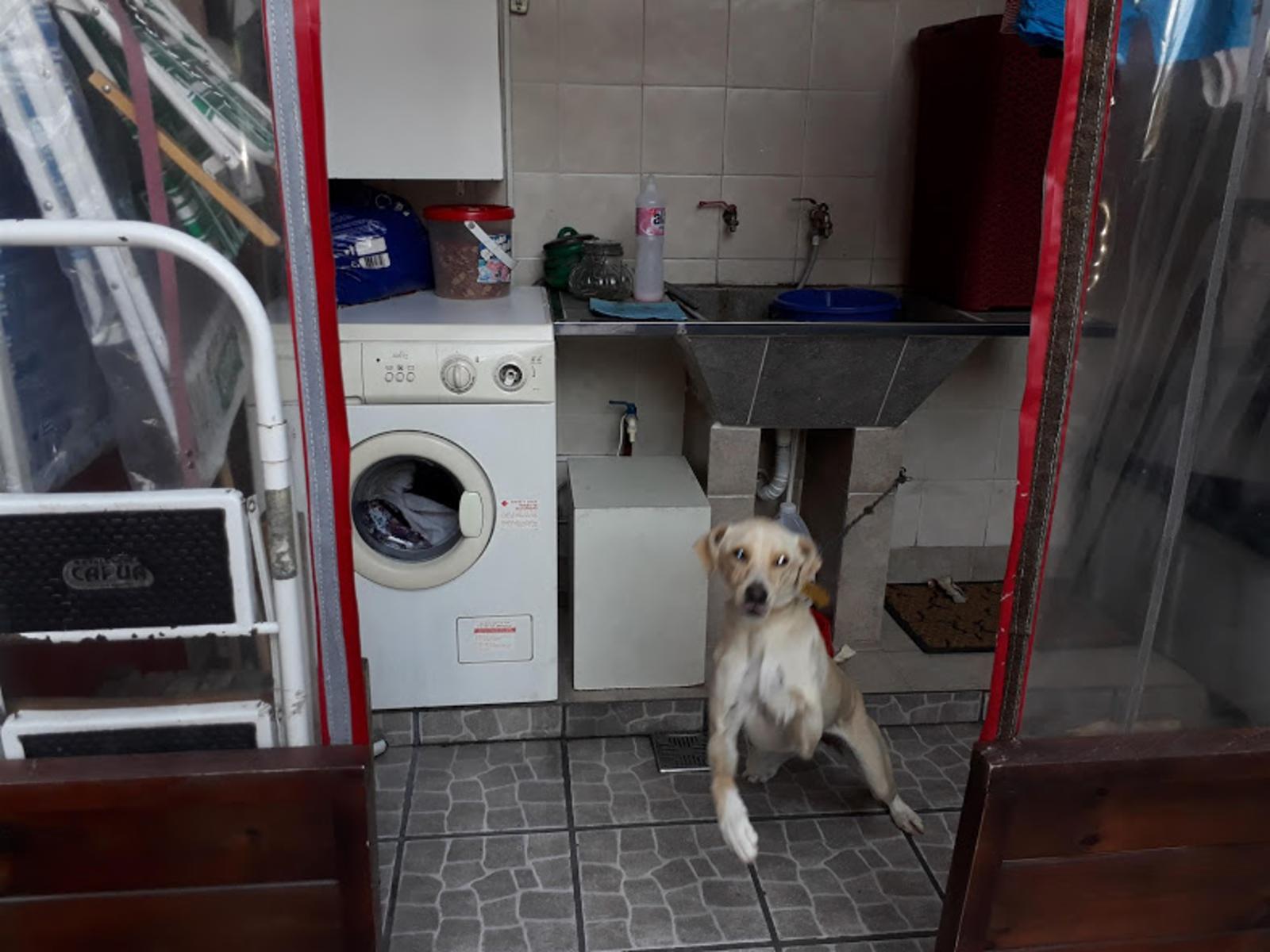 ALMEYDA 2947 · San Martín — foto 13