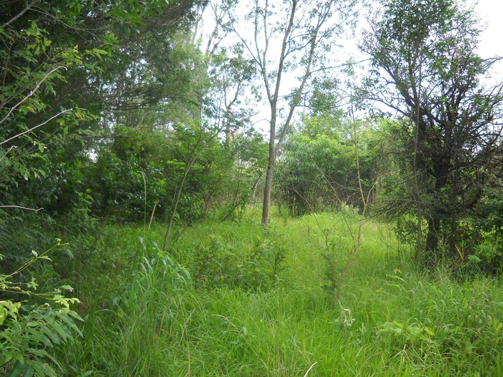 zona rural · Oberá — foto 12