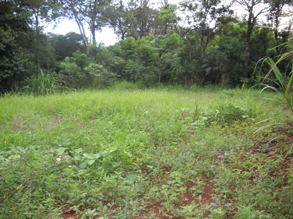 zona rural · Oberá — foto 13
