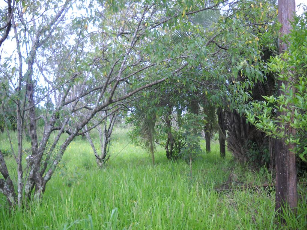 zona rural · Oberá — foto 3