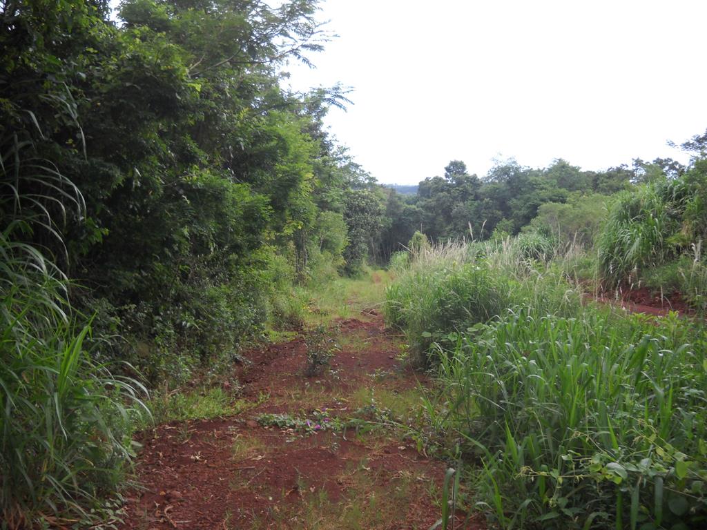 zona rural · Oberá — foto 4