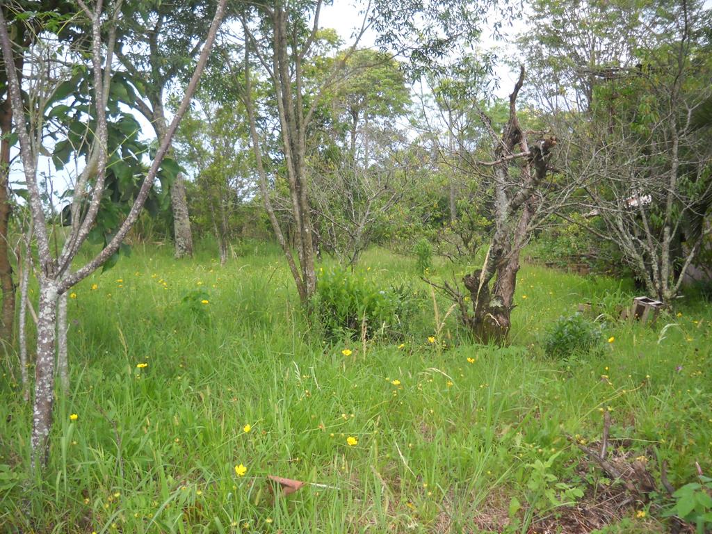 zona rural · Oberá — foto 5