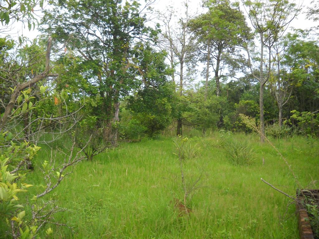 zona rural · Oberá — foto 6