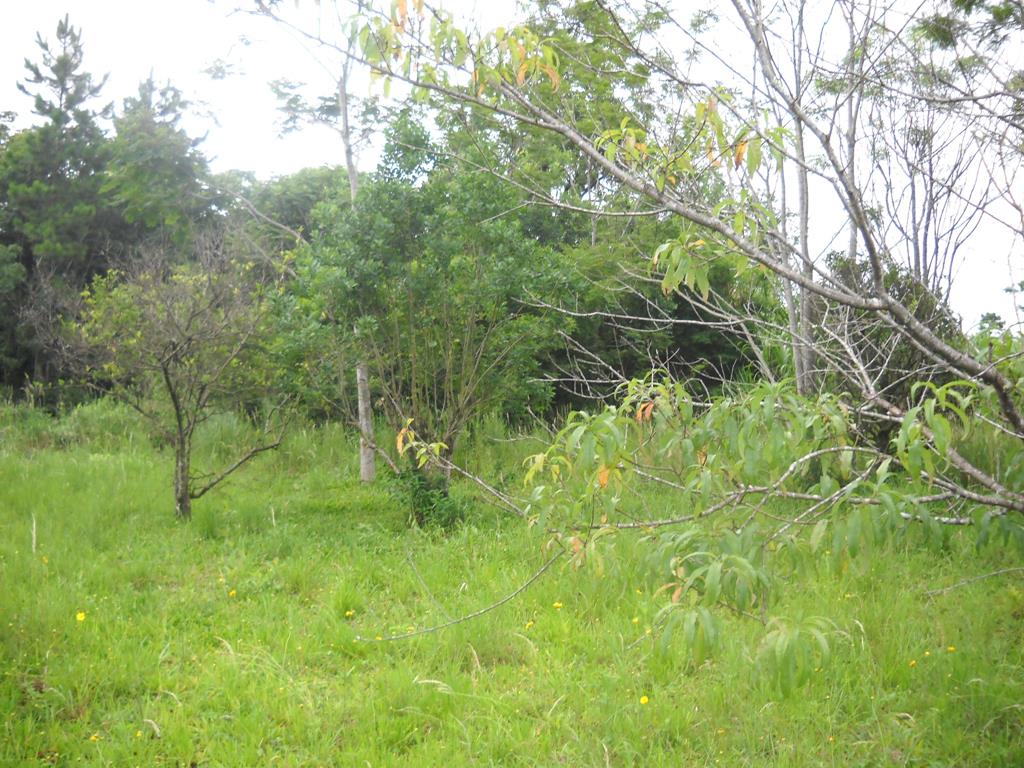 zona rural · Oberá — foto 7