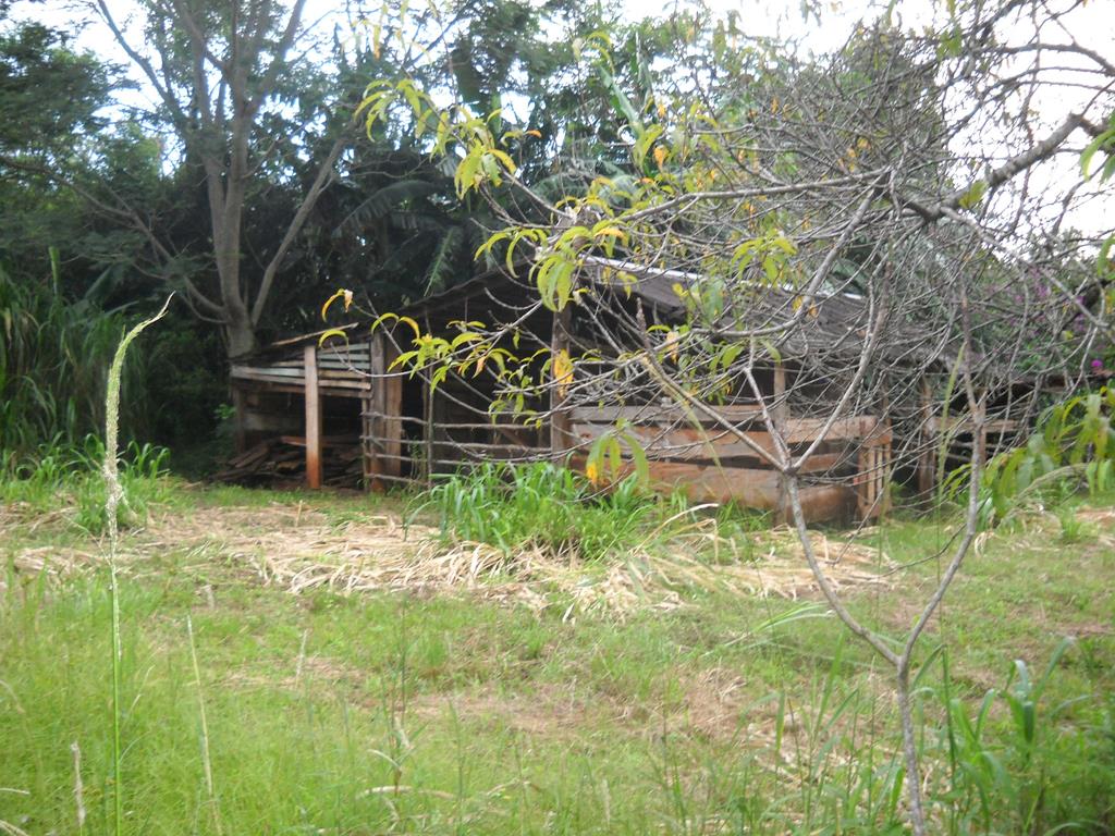 zona rural · Oberá — foto 8