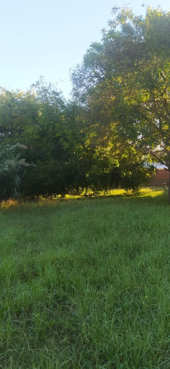 Av. Julián Castro 200 · Merlo — foto 4