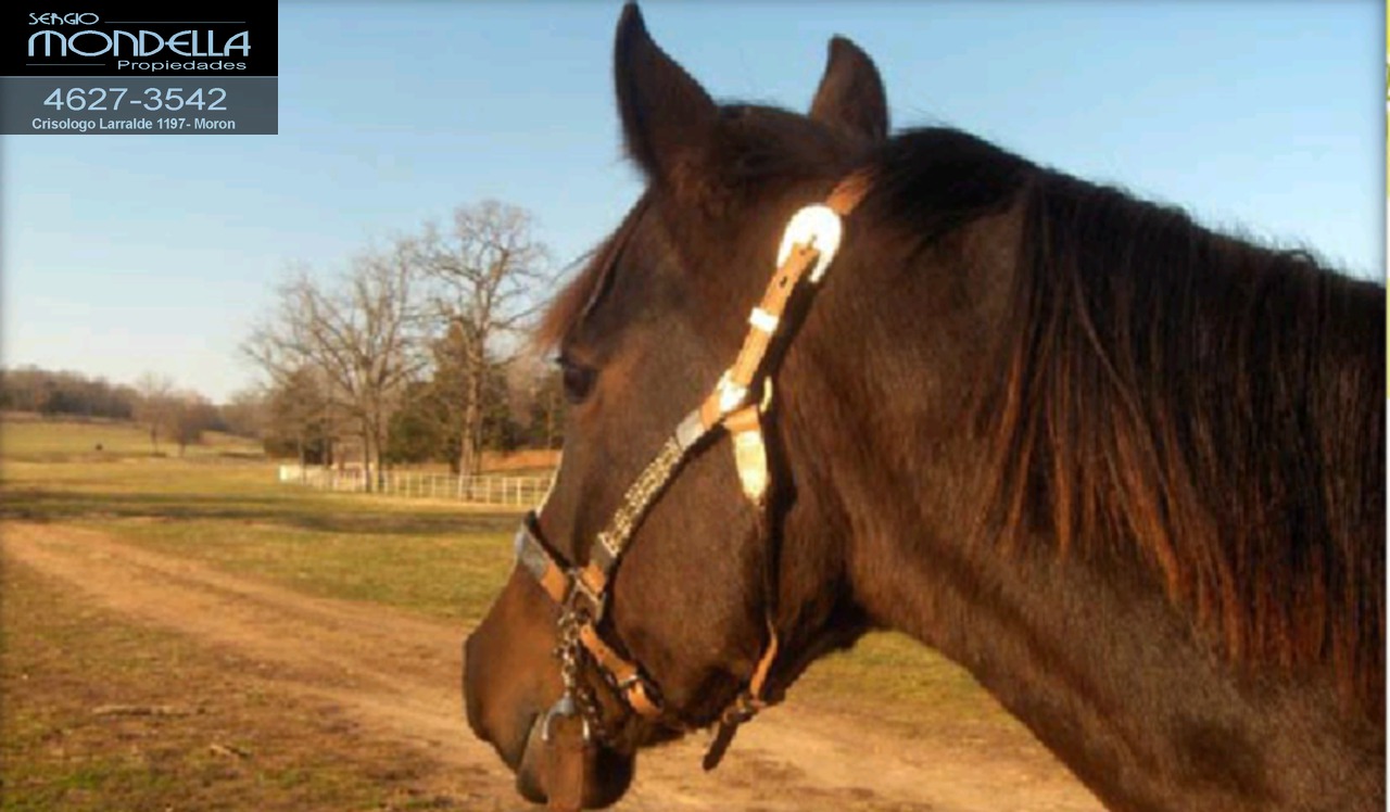Lotes en Club de Campo en Marcos Paz,