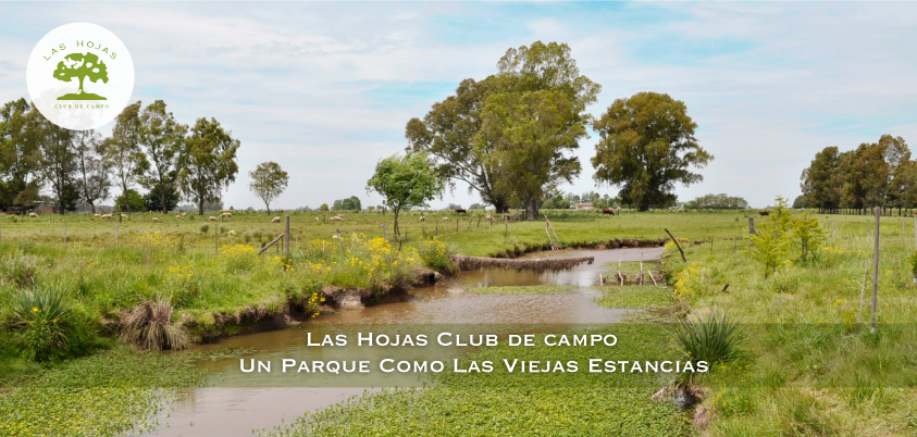 Club de Campo Ruta 6 KM 129 · Marcos Paz — foto 12