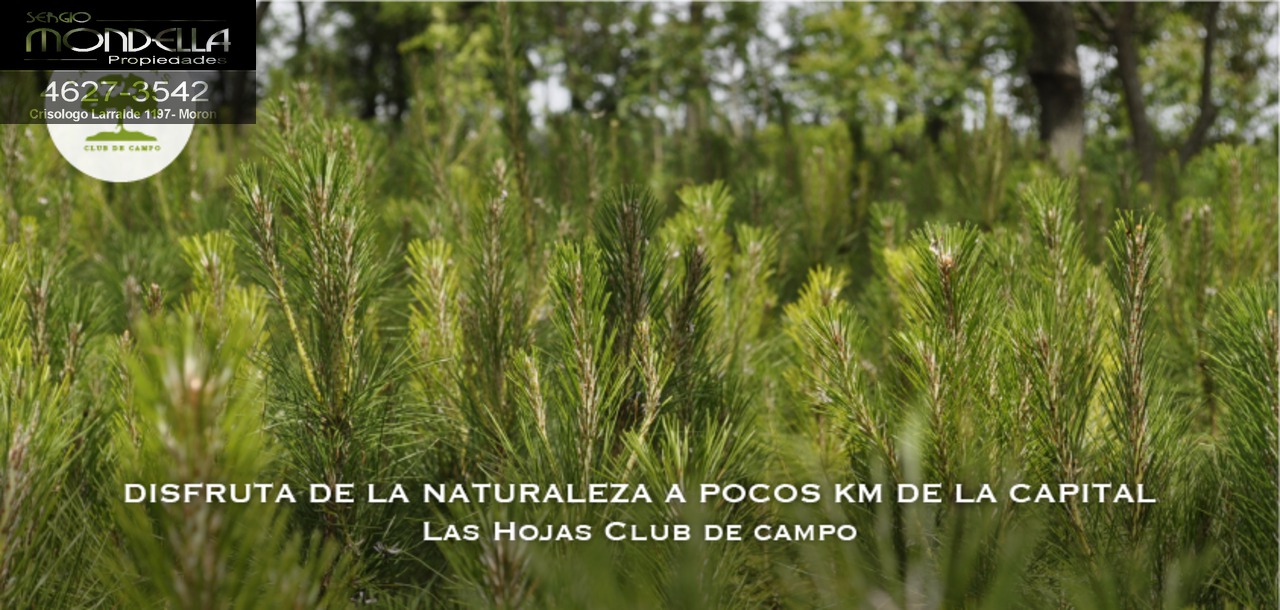 Club de Campo Ruta 6 KM 129 · Marcos Paz — foto 6