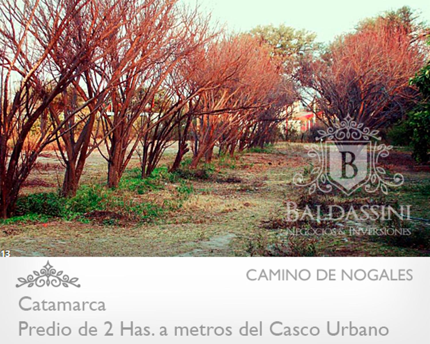 IMPORTANTE FRACCIÓN DE 2 HAS EN EL CENTRO DE CATAMARCA. IDEAL PARA PRENDIMIENTO COMERCIAL O INSTITUCIONAL. A 10 CUADRAS DE LA PLAZA 25 DE MAYO.