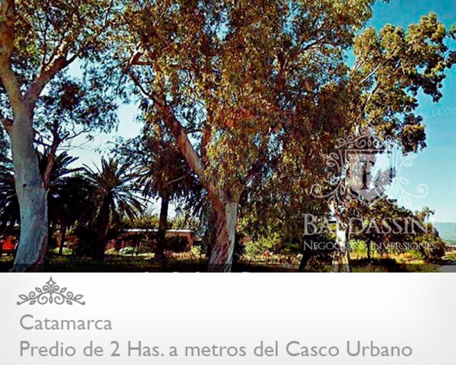 Av. Arroyo Feriñango y José Cubas (Mota Botello) · Capital — foto 3