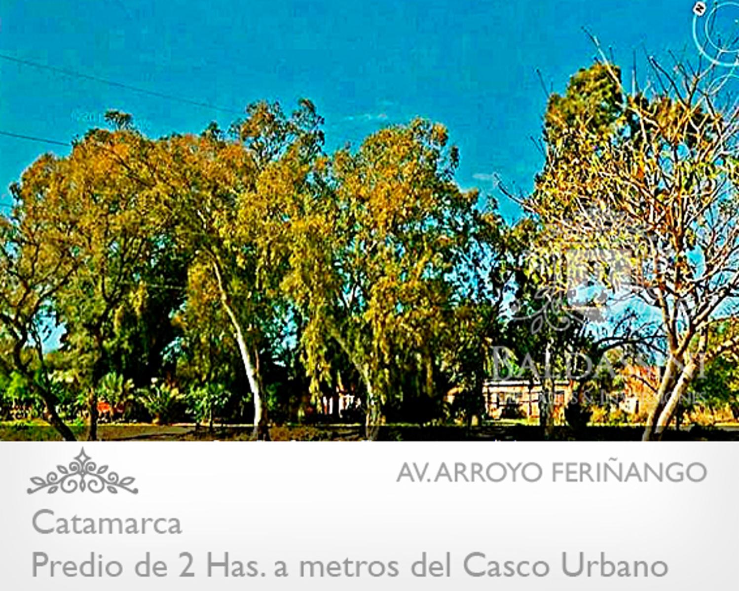 Av. Arroyo Feriñango y José Cubas (Mota Botello) · Capital — foto 5