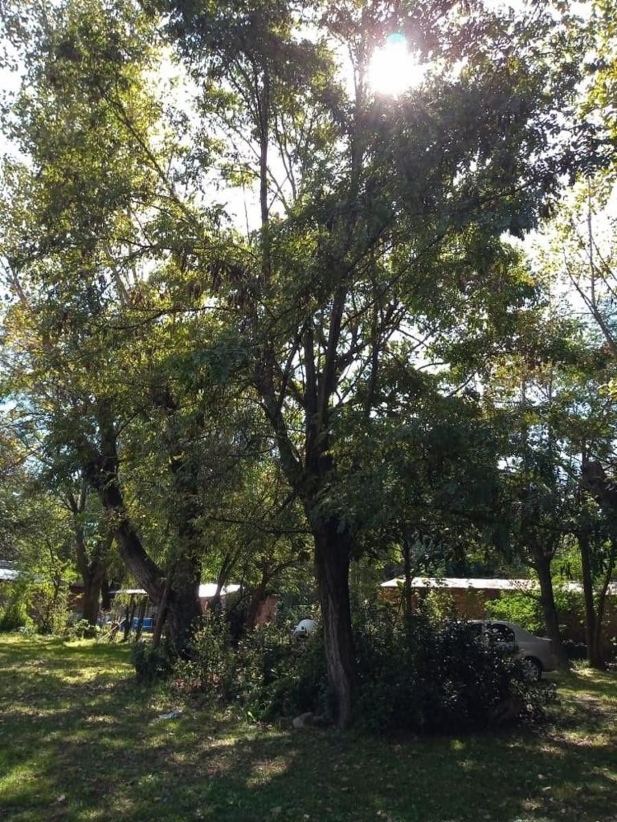 SAN MARTIN Y URQUIZA · Cañuelas — foto 3