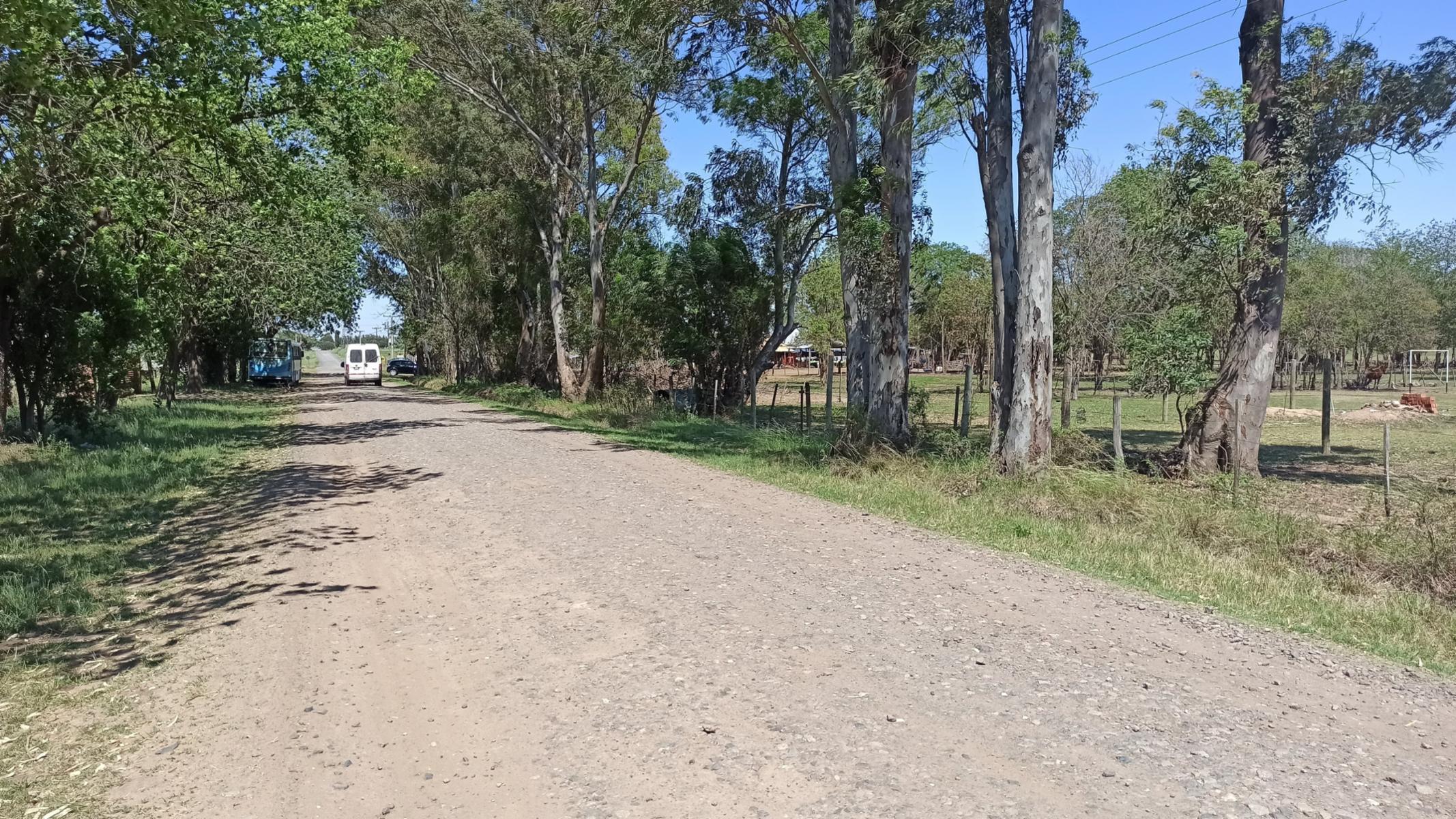 CAMINO PUBLICO P1 · Rosario — foto 4