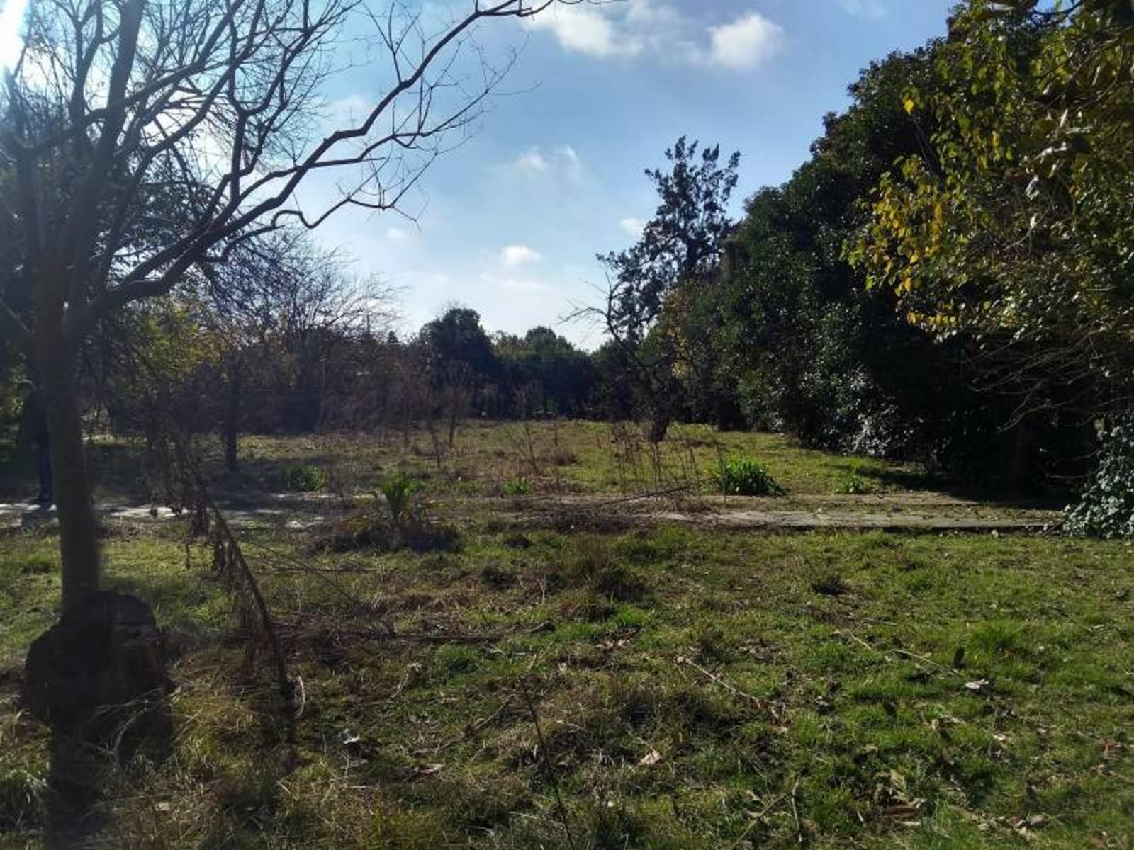 Lote en Esquina. Buen ubicación