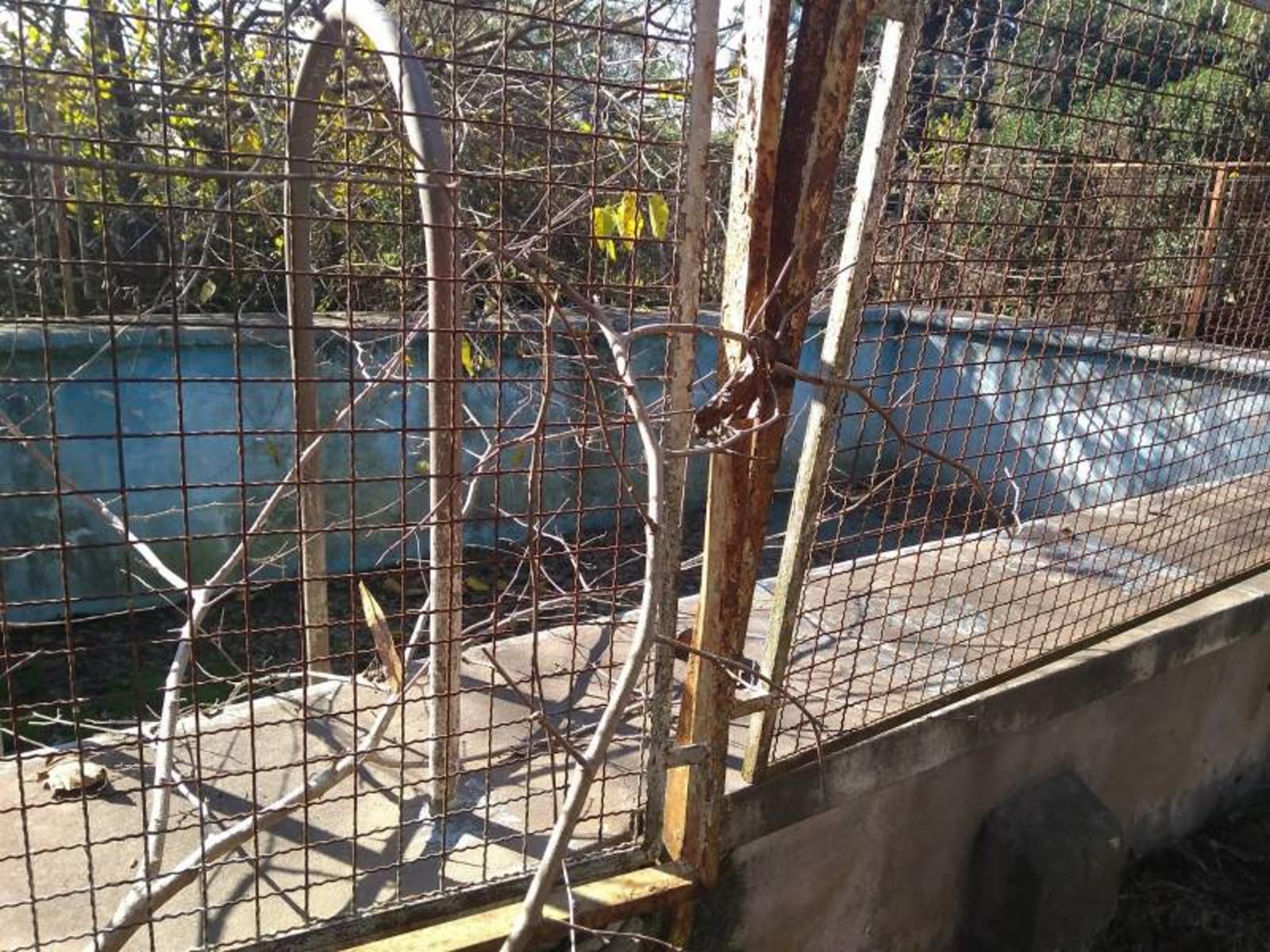 Espora 100 · Merlo — foto 7