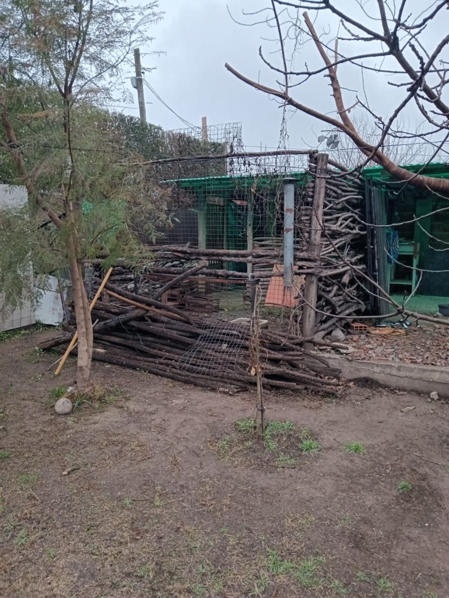 Estanislao del Campo S/N · San Miguel — foto 8