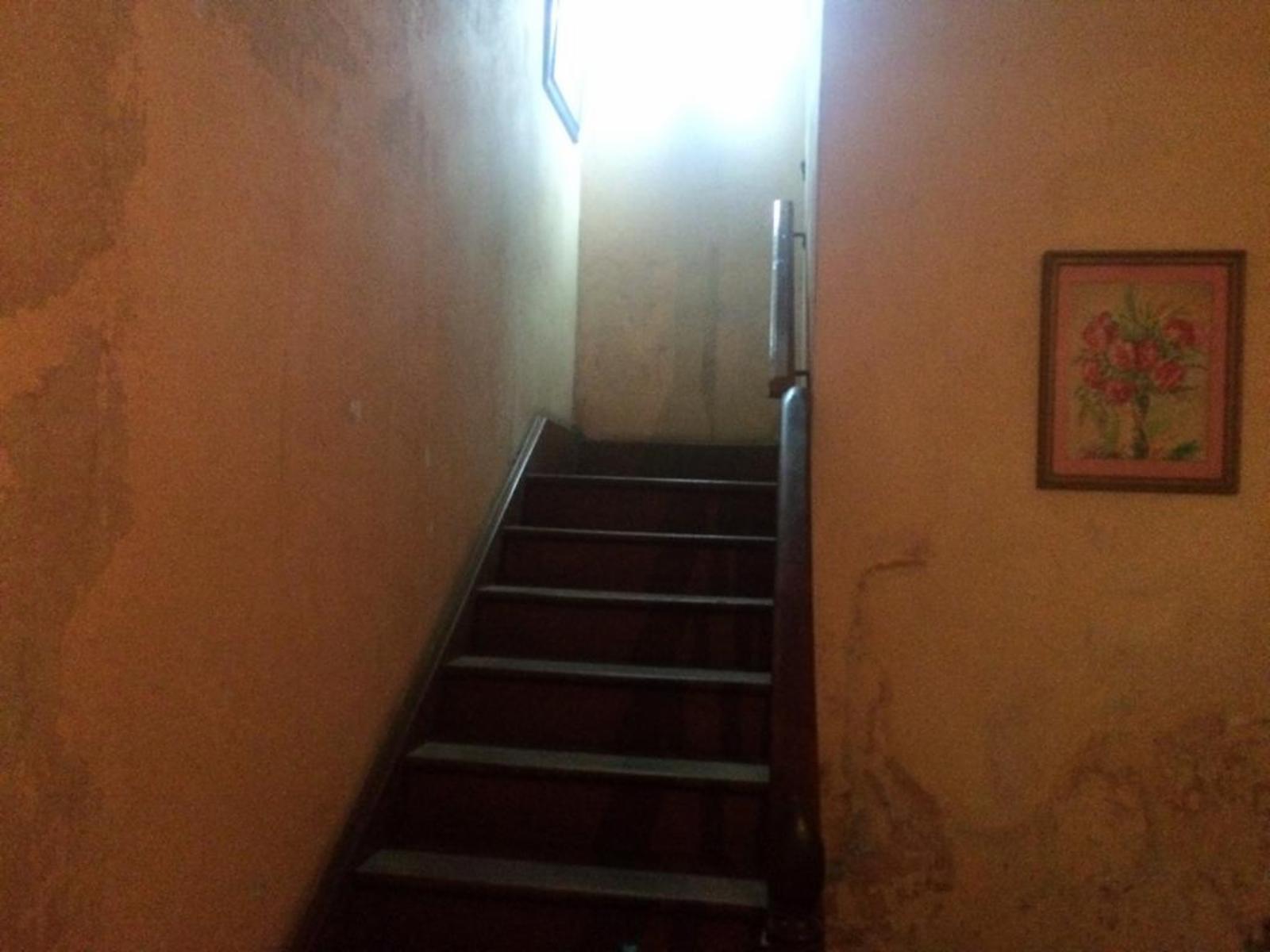 Allison Bell · Quilmes — foto 6