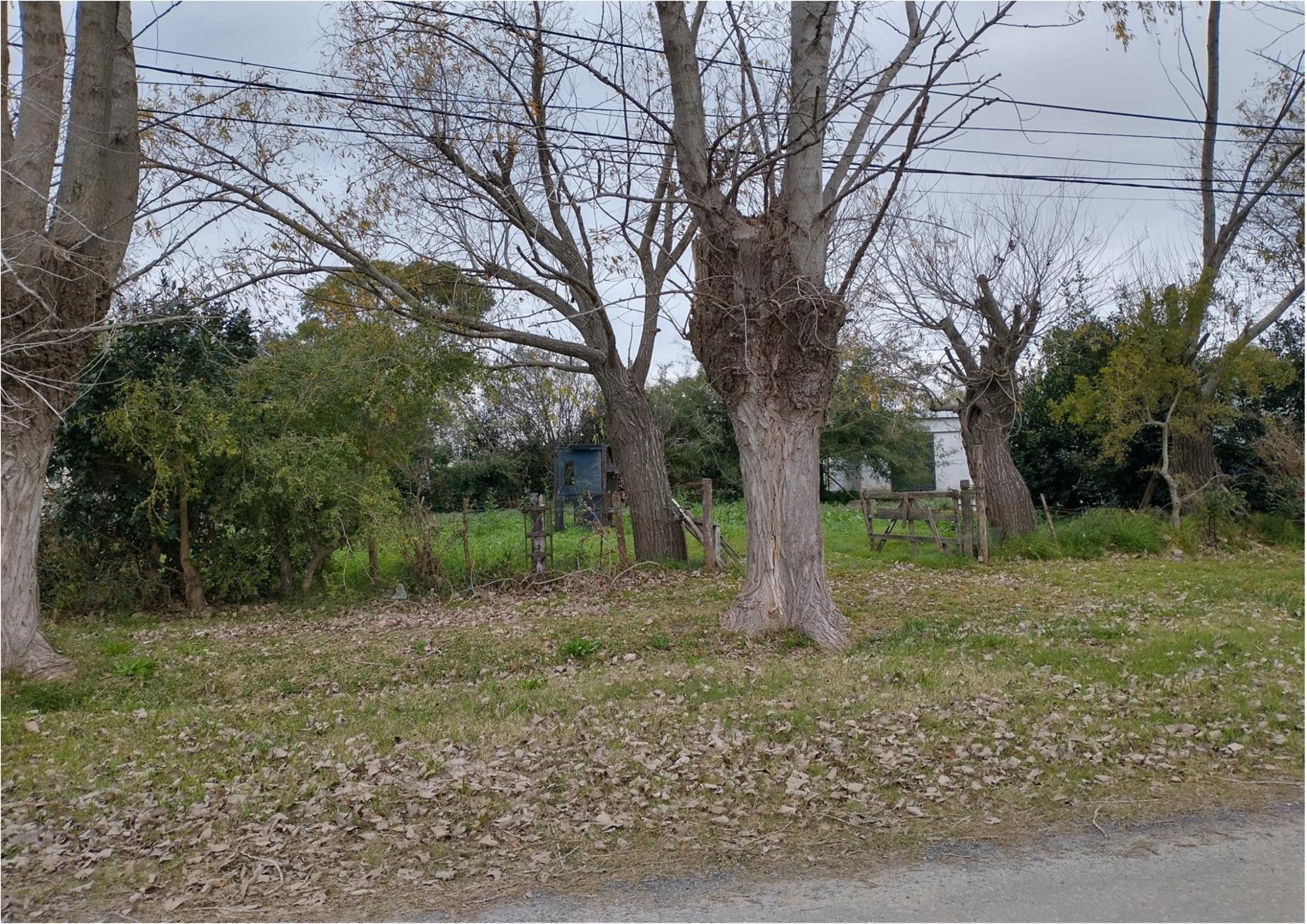 Avenida 17 entre 14 y 19 · Punta Indio — foto 3