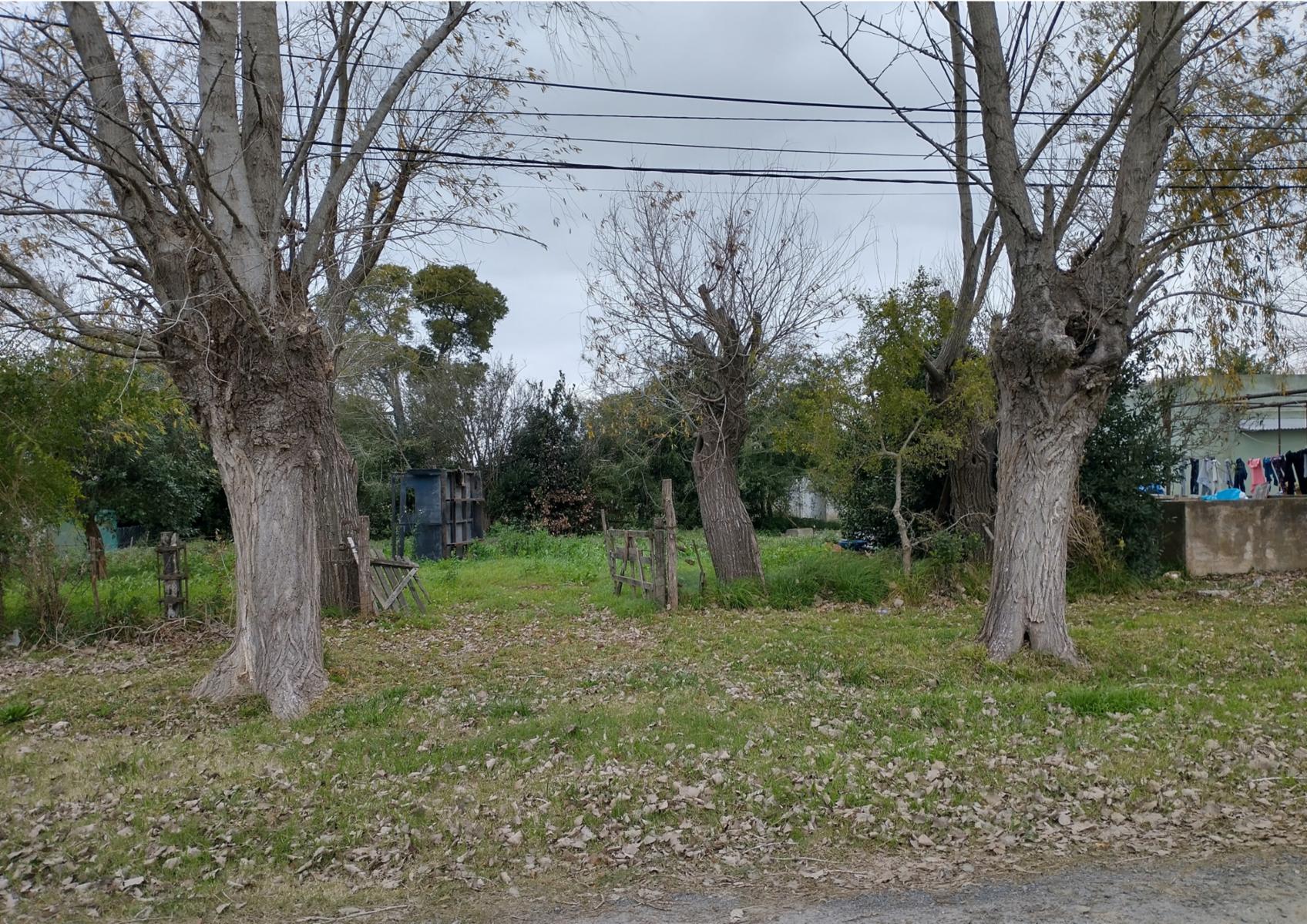 Avenida 17 entre 14 y 19 · Punta Indio — foto 4