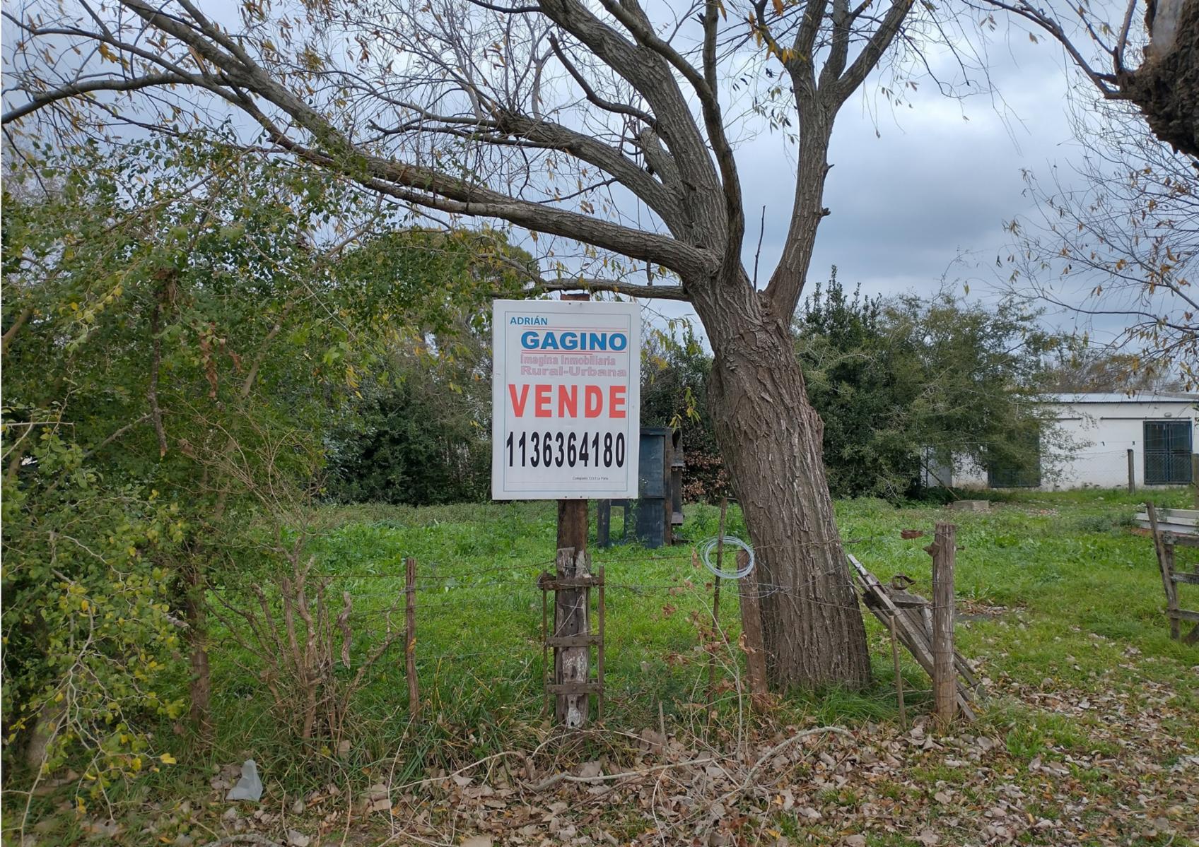 Avenida 17 entre 14 y 19 · Punta Indio — foto 6