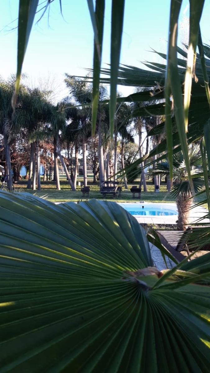 COLONIA SUIZA - BARADERO · Baradero — foto 11