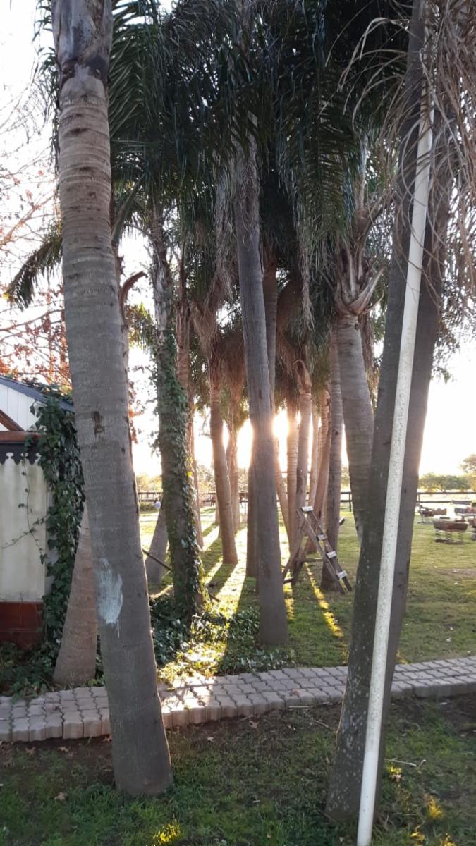 COLONIA SUIZA - BARADERO · Baradero — foto 13