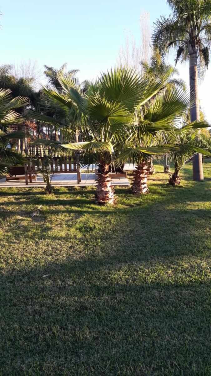 COLONIA SUIZA - BARADERO · Baradero — foto 10