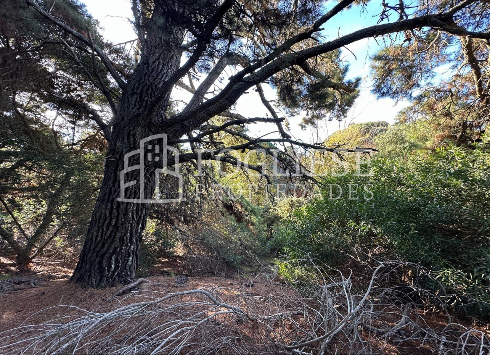 Peralta Ramos · Villa Gesell — foto 7
