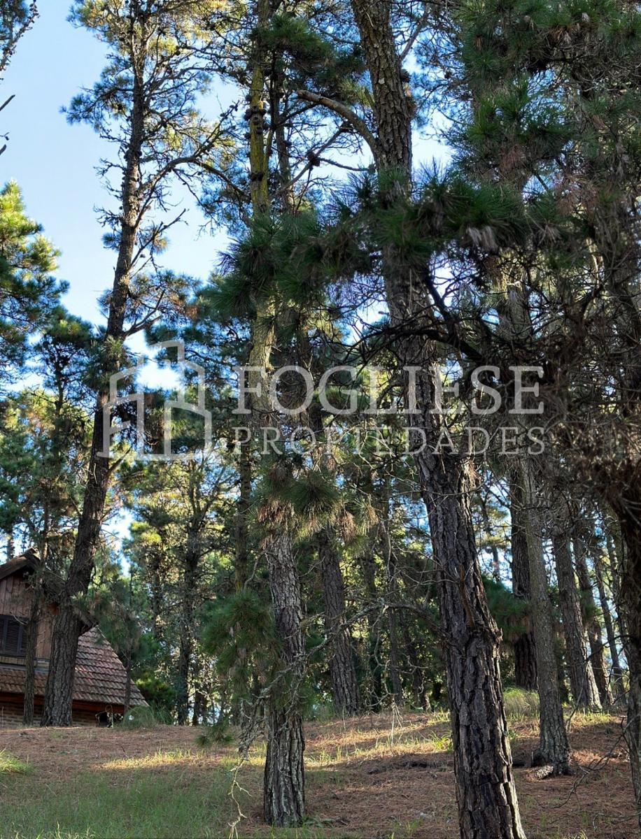 Peralta Ramos · Villa Gesell — foto 10