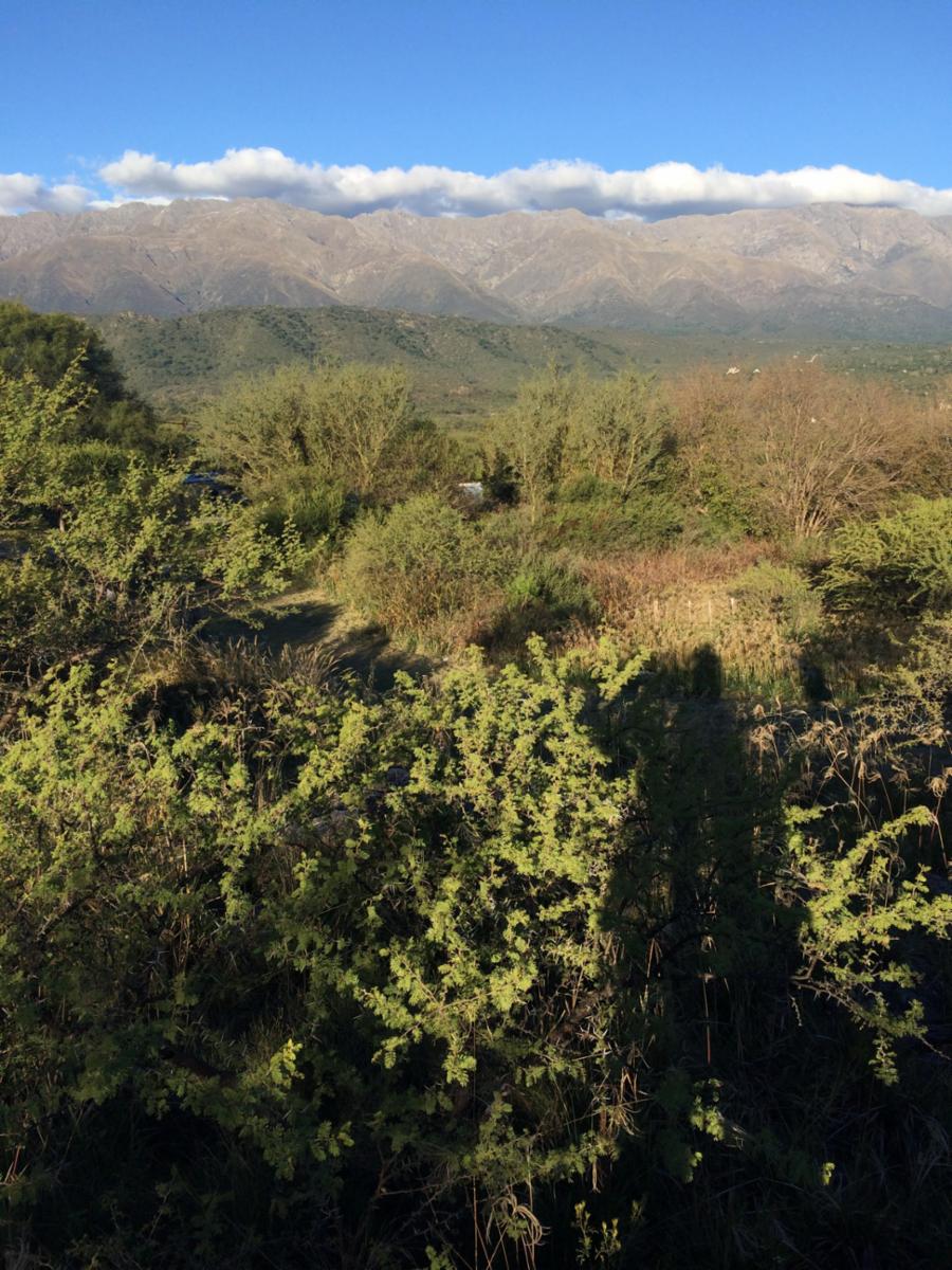 Villa de las Rosas · San Javier — foto 5