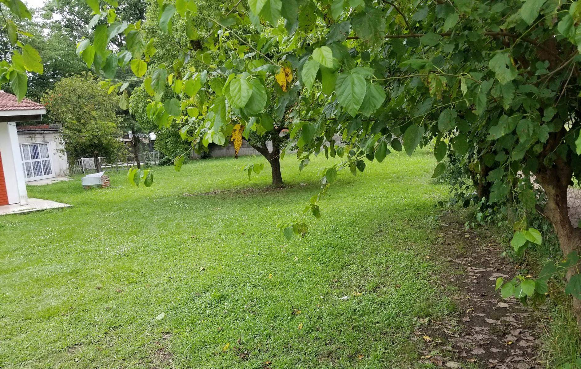 Ru  y d · Moreno — foto 5