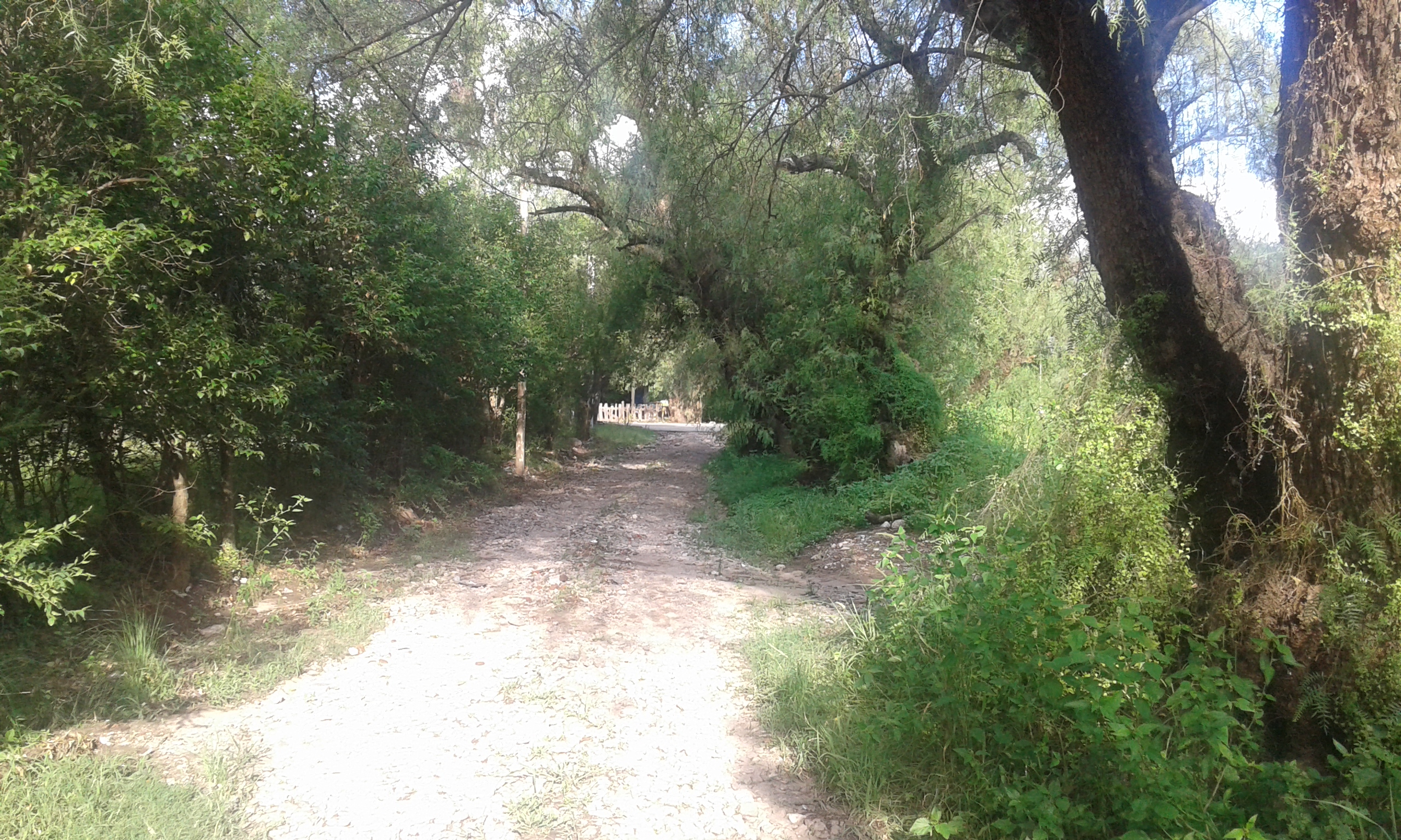 Av. Norte · Junín — foto 4
