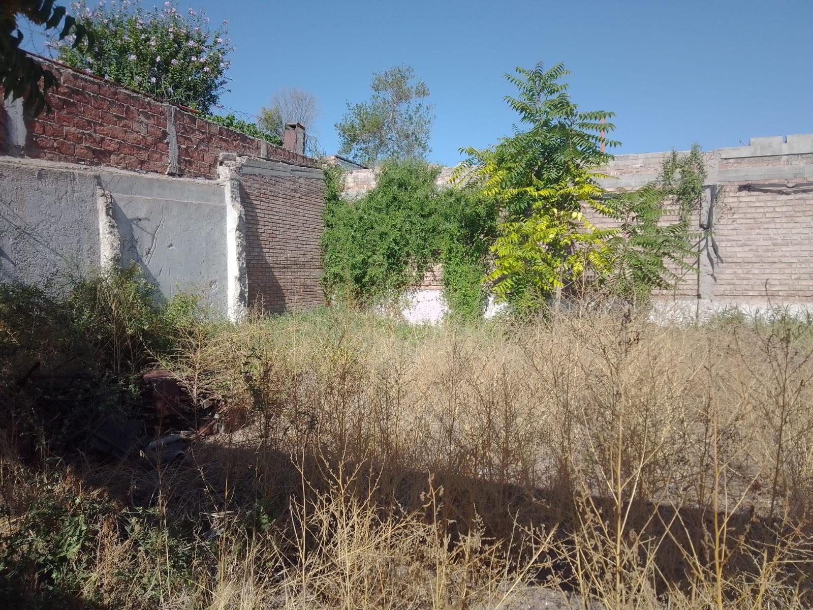 SAN MARTÍN 256 · Godoy Cruz — foto 3