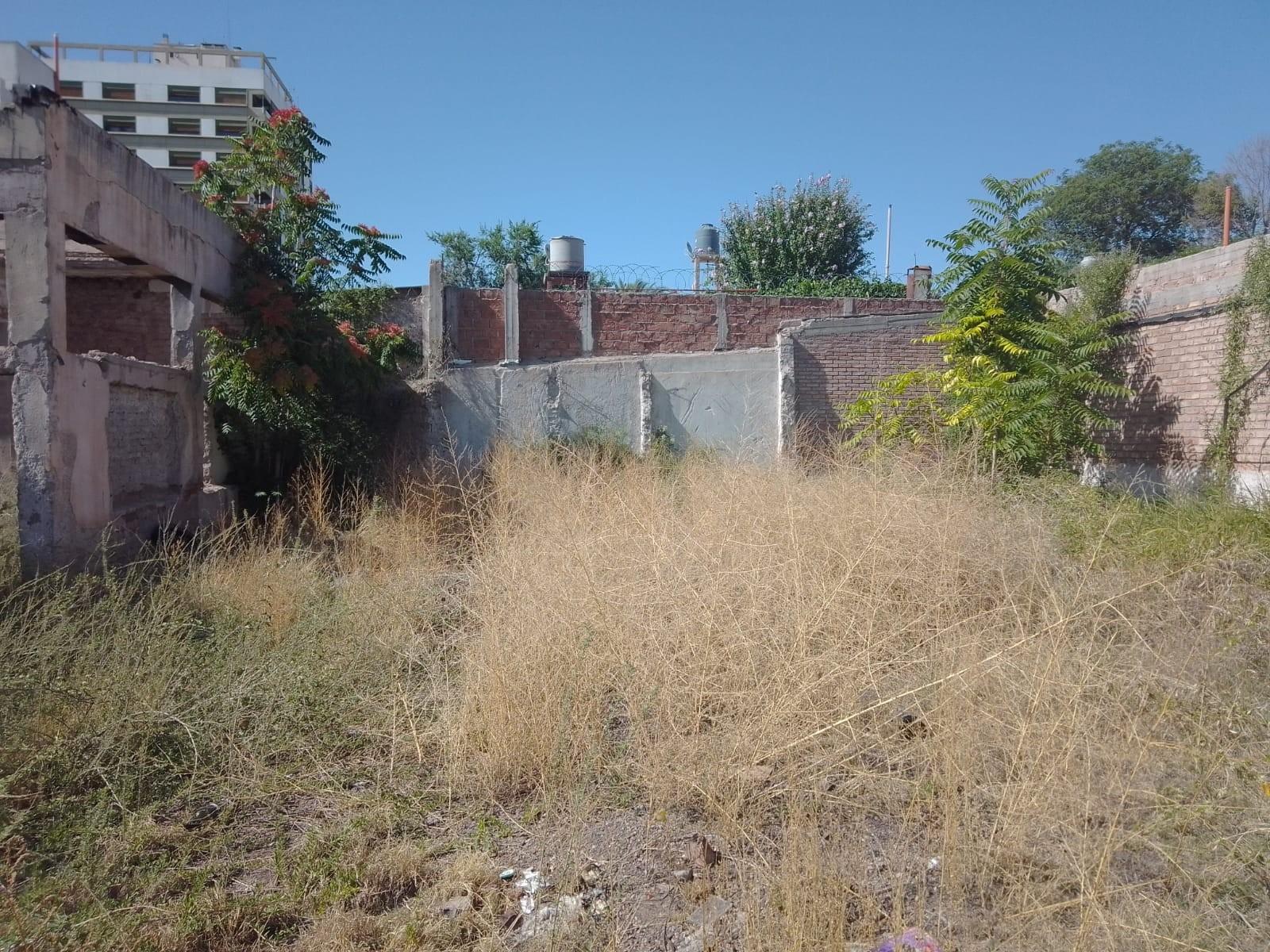 SAN MARTÍN 256 · Godoy Cruz — foto 4
