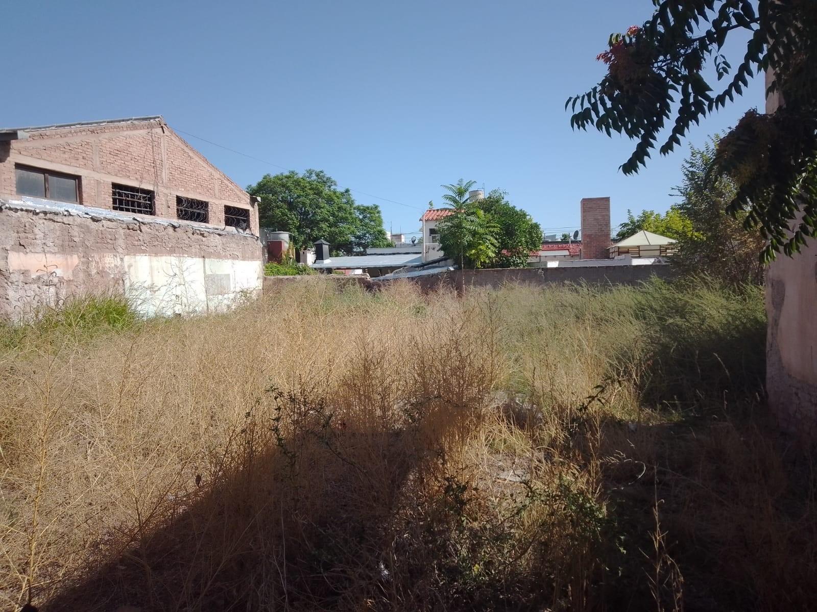 SAN MARTÍN 256 · Godoy Cruz — foto 5