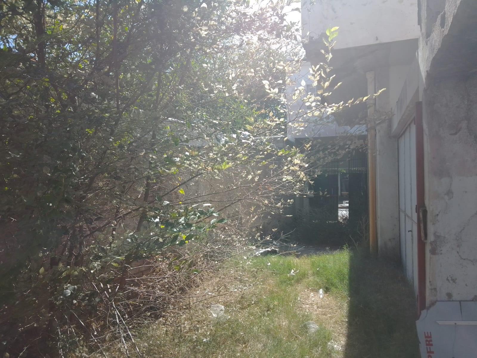 SAN MARTÍN 256 · Godoy Cruz — foto 10