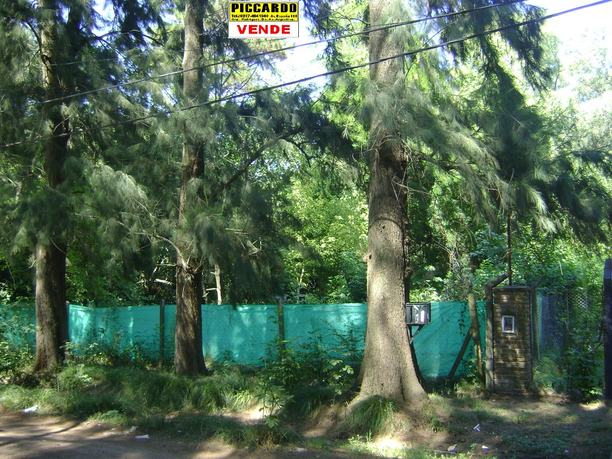 Lote Terreno en venta B El Casco Gral. Rodriguez Piccardo.