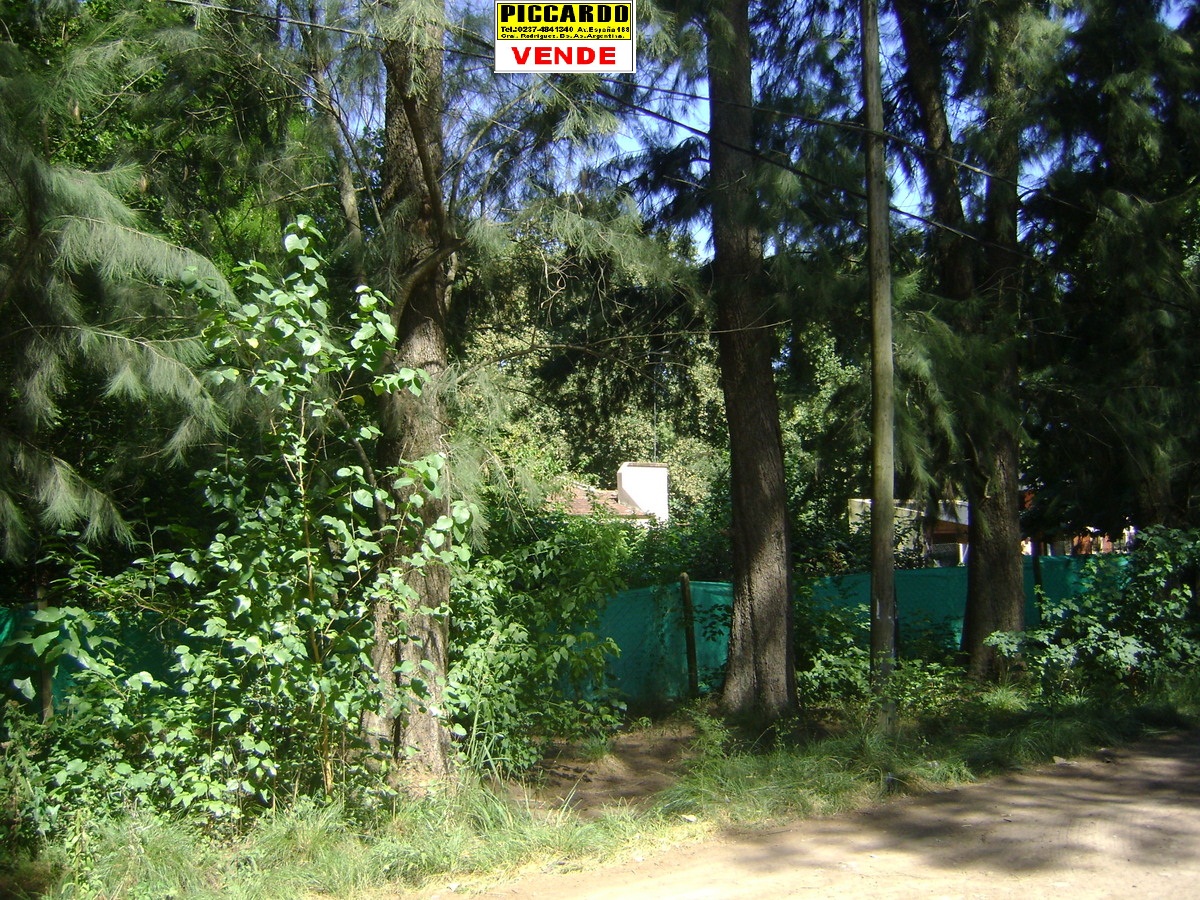 El Casco · General Rodriguez — foto 3