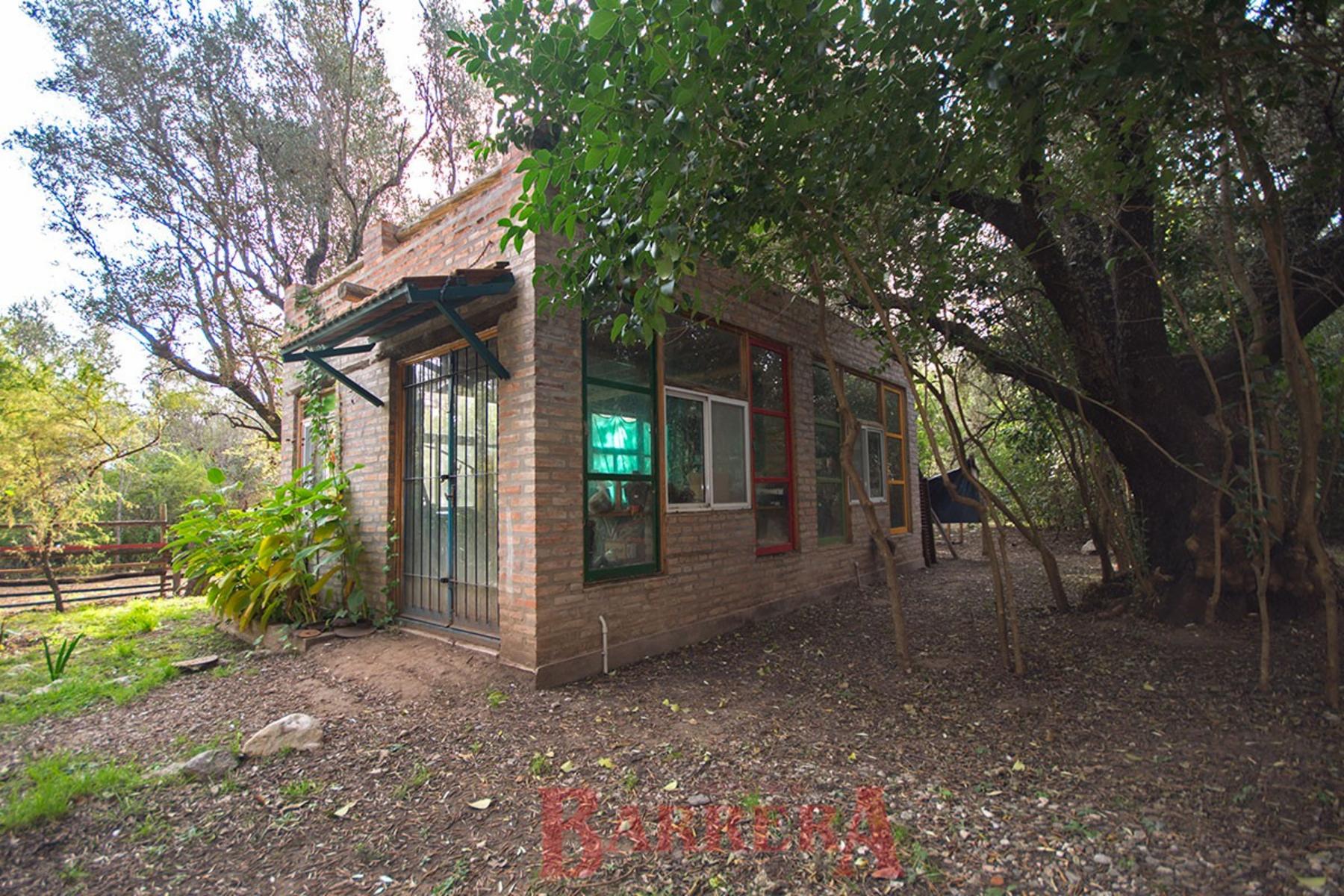 Dama de Noche 304 · Junín — foto 14