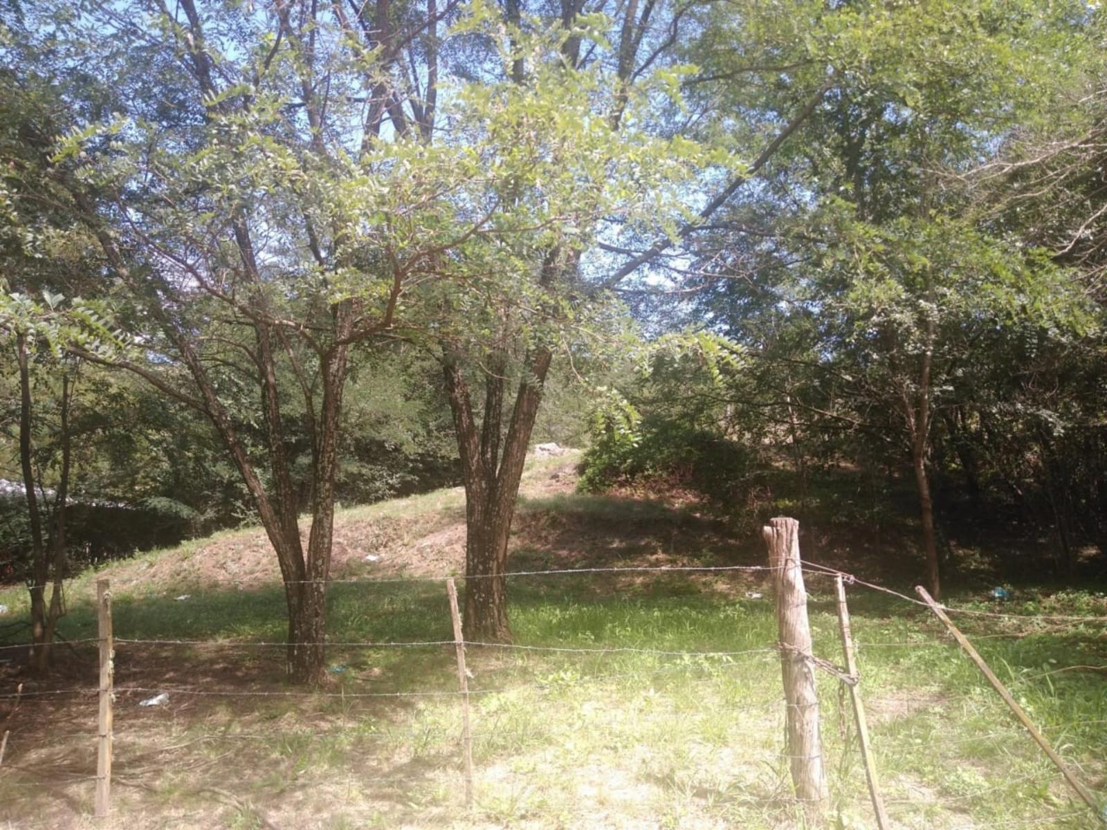 Los Rosales · Santa María — foto 4