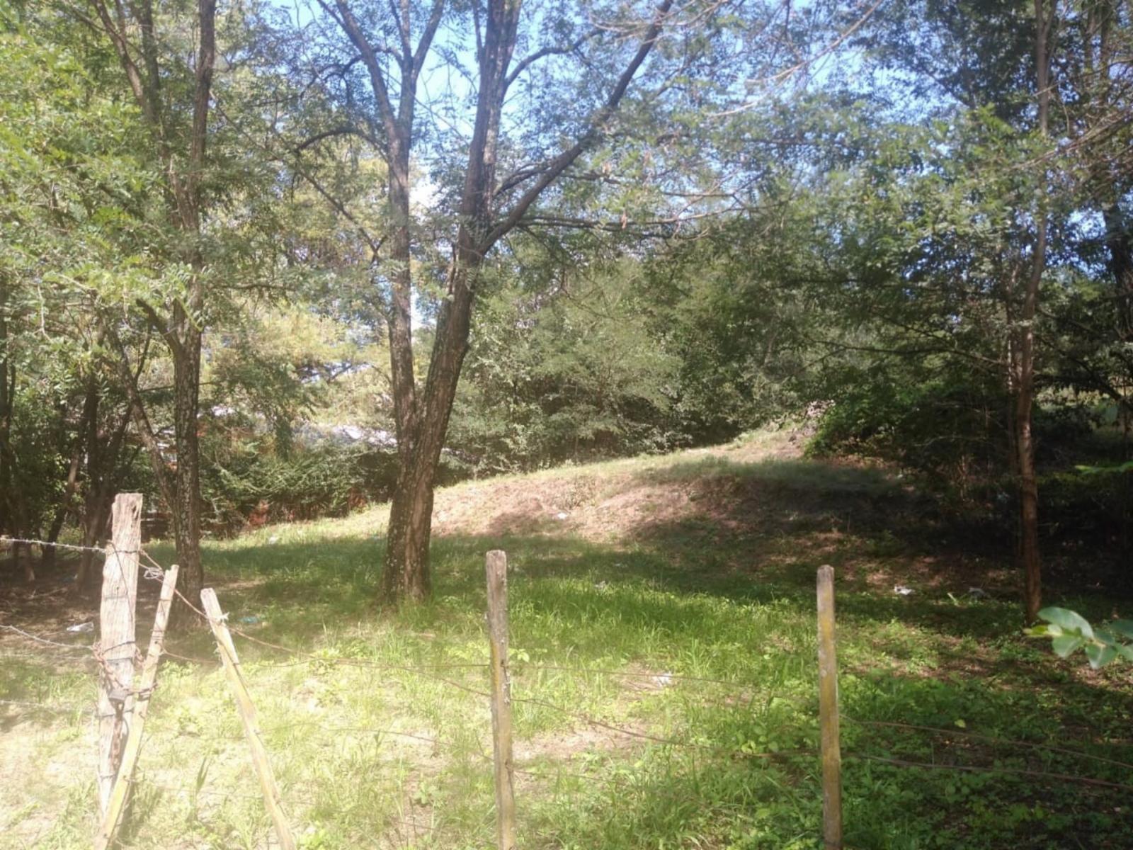 Los Rosales · Santa María — foto 5